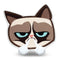 Grumpy Cat Triumph Throw Pillow