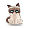 Grumpy Cat Um, No Throw Pillow