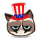 Grumpy Cat Uncle Grumpy Throw Pillow