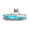 Grumpy Cat Classic Grumpy Throw Pillow