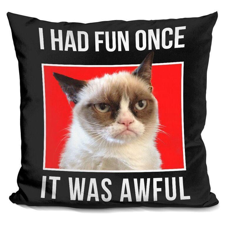 Grumpy Cat I Had Fun Once Throw Pillow