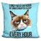 Grumpy Cat I Only Need An Hour Throw Pillow