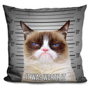 Grumpy Cat It Was Worth It Throw Pillow
