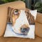 Basset Hound Ii Throw Pillow By George Dyachenko