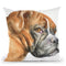 Boxer Ii Throw Pillow By George Dyachenko