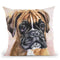 Boxer Throw Pillow By George Dyachenko