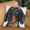 Dachshund Puppy I Throw Pillow By George Dyachenko
