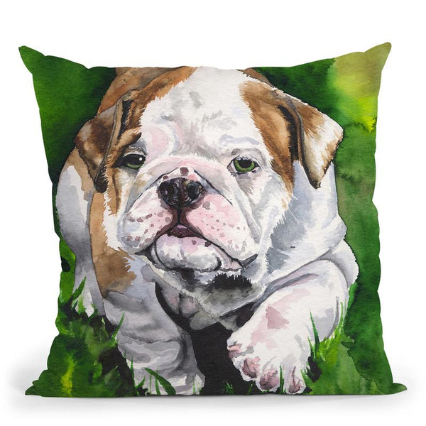 English Bulldog Puppy Throw Pillow By George Dyachenko