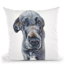 Great Dane Throw Pillow By George Dyachenko