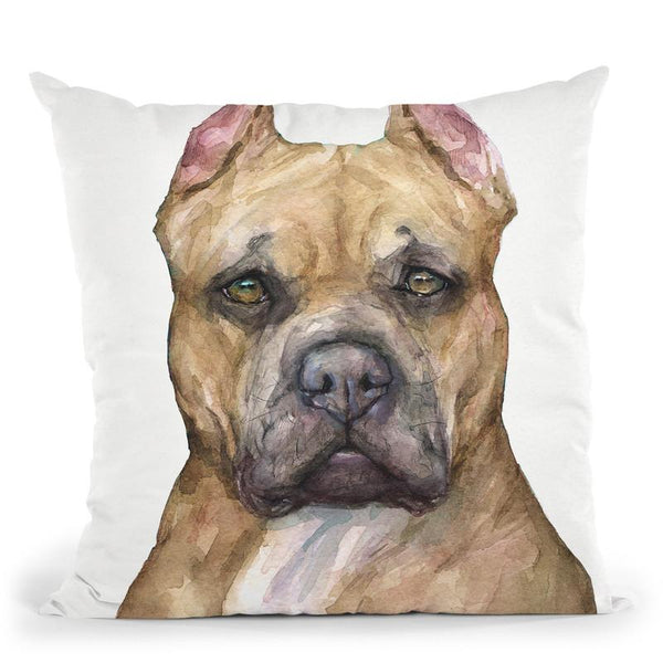 Pit Bull I Throw Pillow By George Dyachenko