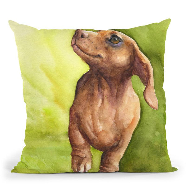 Red Dachshund Throw Pillow By George Dyachenko