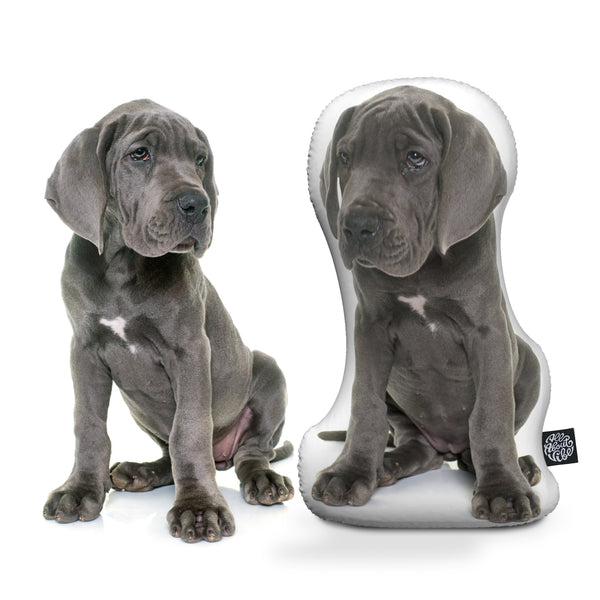 Personalized Great Dane Pillow