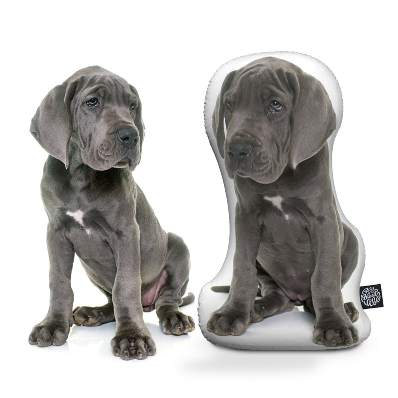 Personalized Great Dane Pillow