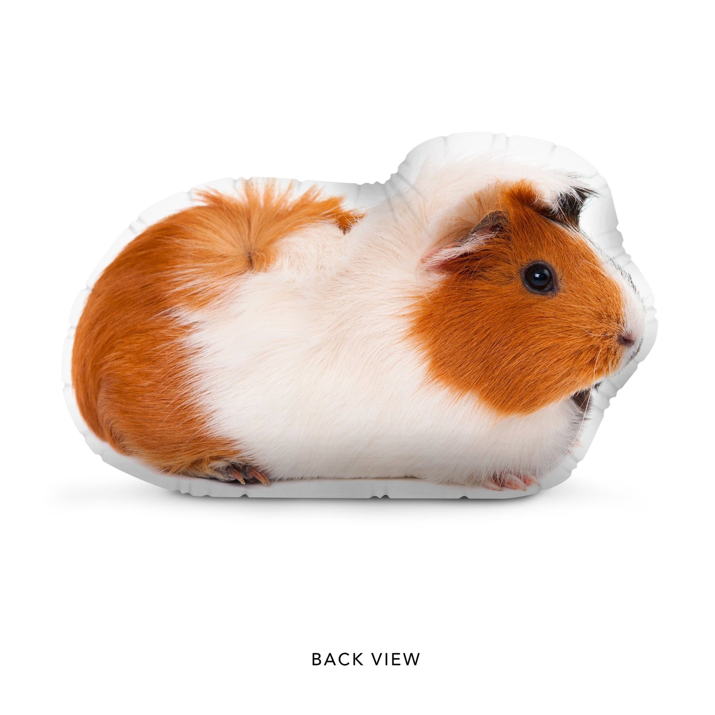 Custom Guinea Pig Pillow