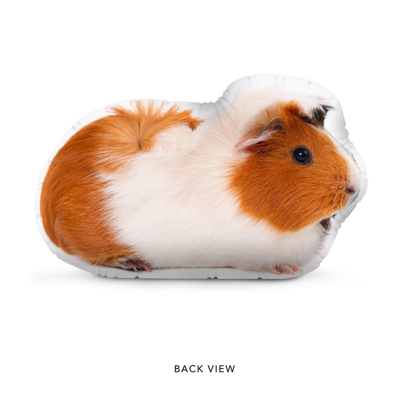 Custom Guinea Pig Pillow