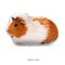 Custom Guinea Pig Pillow