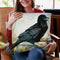 Breakfast With A Raven Throw Pillow By Holly Simental