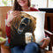 Grizzly Mornings Throw Pillow By Holly Simental