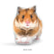 Custom Hamster Pillow