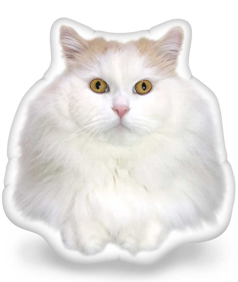 Louie Head In The Game Throw Pillow
