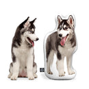 Custom Husky Shaped Dog Pillow