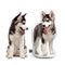 Custom Husky Shaped Dog Pillow