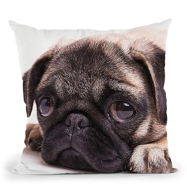 Sad Sack Pug Throw Pillow By Image Conscious - by all about vibe