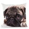 Sad Sack Pug Throw Pillow By Image Conscious - by all about vibe