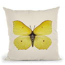 Gonepteryx Rhamni Throw Pillow By Image Conscious - by all about vibe