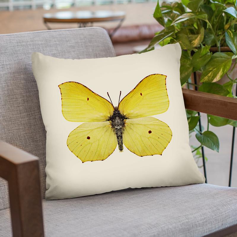 Gonepteryx Rhamni Throw Pillow By Image Conscious - by all about vibe