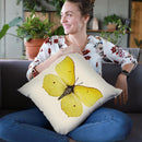 Gonepteryx Rhamni Throw Pillow By Image Conscious - by all about vibe