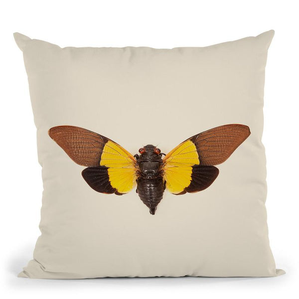 Cicada Throw Pillow By Image Conscious - by all about vibe