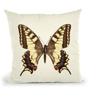 Papilio Machaon Throw Pillow By Image Conscious - by all about vibe