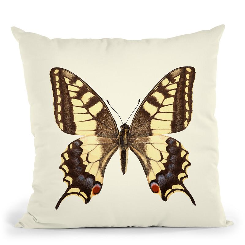 Papilio Machaon Throw Pillow By Image Conscious - by all about vibe