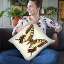Papilio Machaon Throw Pillow By Image Conscious - by all about vibe