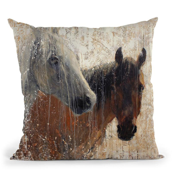 A Long December Throw Pillow By Image Conscious