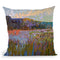 More Than The Eye Can See Throw Pillow By Image Conscious - by all about vibe