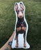 Personalized Doberman Pinscher Pillow