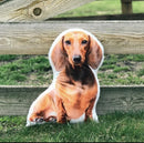 Personalized Dachshund Pillow