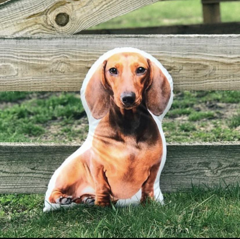 Personalized Dachshund Pillow