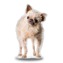 Griffin Standing Throw Pillow