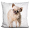 Griffin StandingUare Throw Pillow