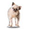 Griffin Standing Throw Pillow