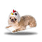 Griffin Chicken Throw Pillow