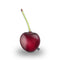 Cherry Throw Pillow By All About Vibe