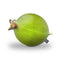 Gooseberry Throw Pillow By All About Vibe