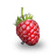 Raspberry Throw Pillow By All About Vibe