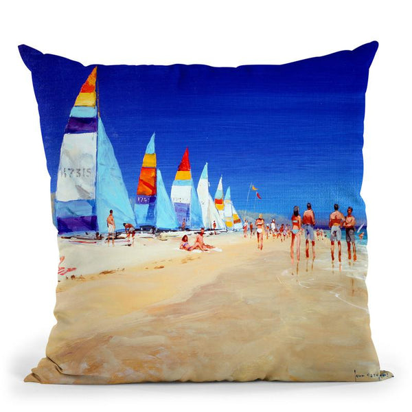 High And Dry Throw Pillow By John Haskins - by all about vibe