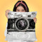 Take Theot Throw Pillow by Jodi Pedri