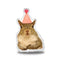 Jill Birthday Hat Throw Pillow